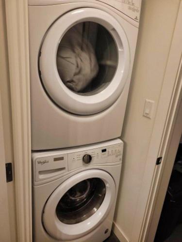 Furnished 1 Bedroom In East Village By Signature Suites Ltd YYC Eksteriør billede