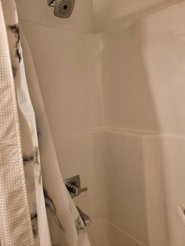 Furnished 1 Bedroom In East Village By Signature Suites Ltd YYC Eksteriør billede